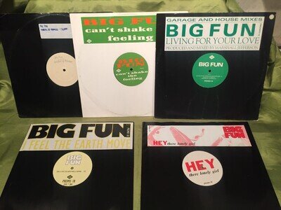 5 x BIG FUN UK PROMO 12" SINGLES JIVE RECORDS 1989-1990 ALL VG/EX