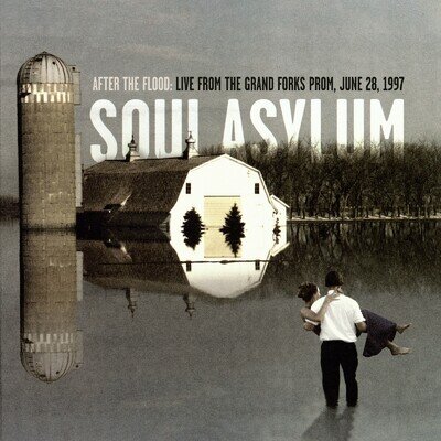 Soul Asylum After The Flood (Vinyl) 12" Album