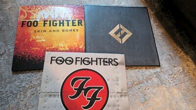 Foo Fighters Vinyl Lp Collection Job Lot . Records NM Greatest Hits Skin Bones