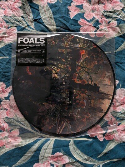 Foals - Everything Not Saved Will Be Lost Part 2 Limited Picture Disc Vinyl LP