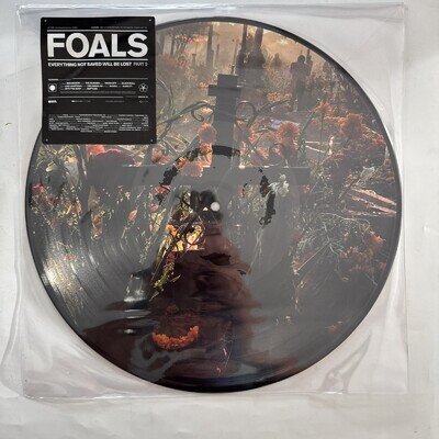 Foals - Everything Not Saved Will Be Lost Part 2 Limited Picture Disc Vinyl LP