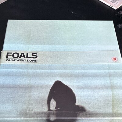 Foals What Went Down Clear Coloured Vinyl LP Boxset Master Release Ltd Edition