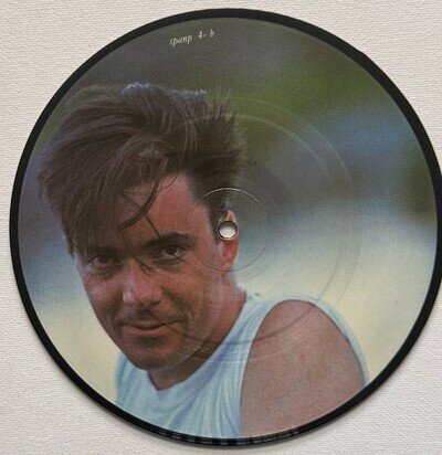RARE Spandau Ballet I'll Fly For You- Picture Disc