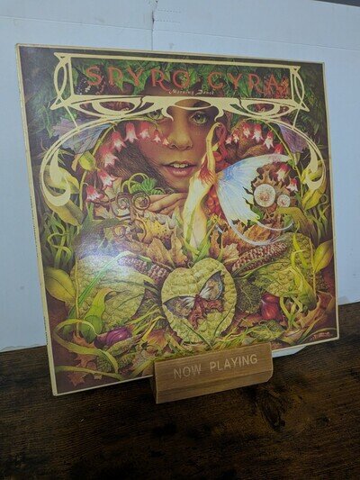 SPYRO GYRA-MORNING DANCE, Vinyl Lp, 1979 (usa) Vg+/Vg