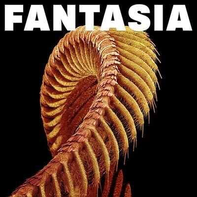 Slift : Fantasia VINYL 12" Album Coloured Vinyl 2 discs (2026) ***NEW***