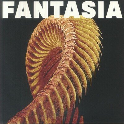SLIFT - Fantasia (Loser Edition) - 'starlight' vinyl 2xLP (side 4 etched)