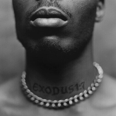 DMX Exodus (Vinyl) 12" Album