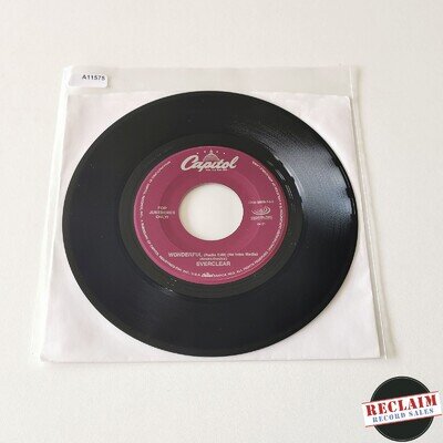 everclear - wonderful 7" vinyl record VG+