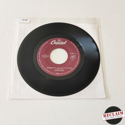 everclear - wonderful 7" vinyl record VG+