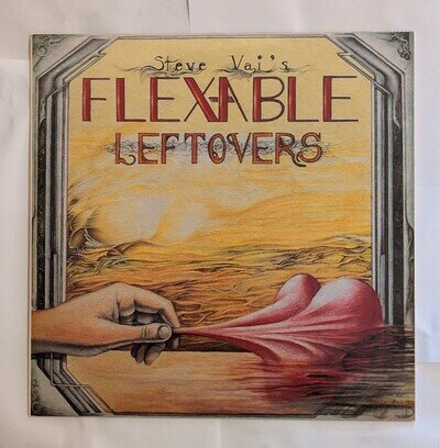 LP Akashic Records Steve Vai / Flex-Able Leftovers 10” Vinyl Record