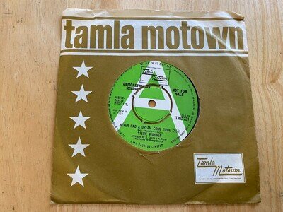 Stevie Wonder Never Has A Dream Come True 7" Vinyl Single Promo TMG731