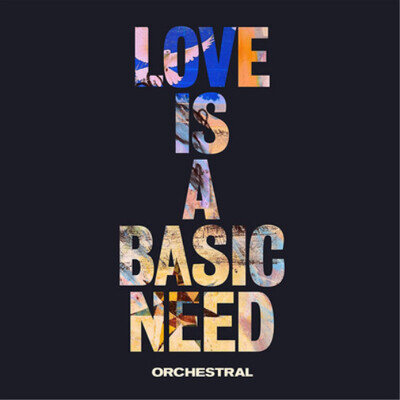 Embrace Love Is a Basic Need: Orchestral (Vinyl) 12" Album