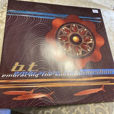 BT - Embracing The Sunshine - Used Vinyl Record 12 - F7441z