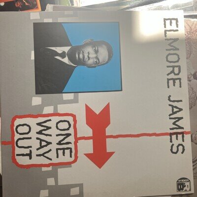 Elmore James - One Way Out - Vinyl LP - U.K. 1980 - Charly EX