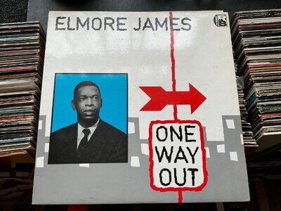 ELMORE JAMES - ONE WAY OUT LP / 1980 CHARLY