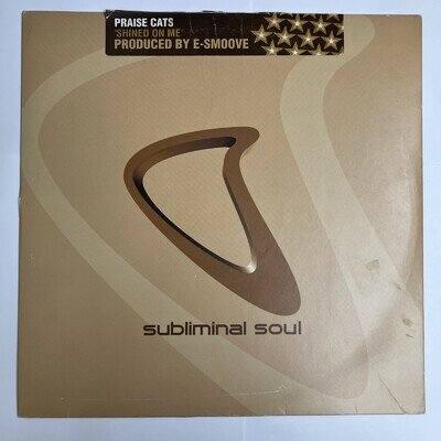 Praise Cats Feat. Andrea Love - Shined On Me - Subliminal Soul 12" 2002 US House