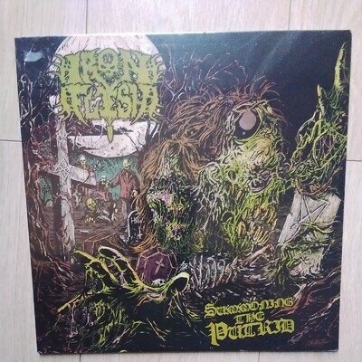 IRON FLESH - SUMMONING THE PUTRID LP NEW & SEALED FREE POST