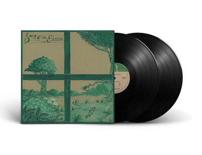 Dirty Projectors, David Longstreth & Stargaze - Song Of The Earth 2x Vinyl LP