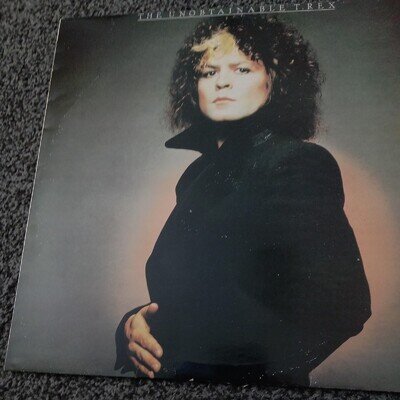 T. Rex, The Unobtainable T. Rex vinyl LP, 1980