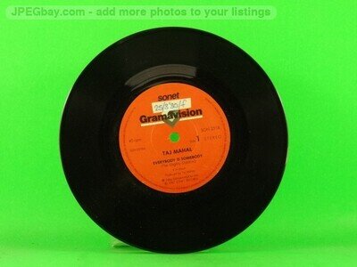 TAJ MAHAL EVERYBODY IS SOMEBODY (137) 7" GRAMAVISION