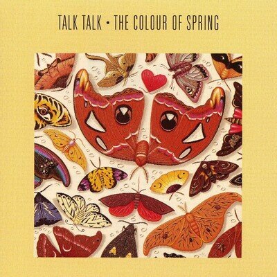 Talk Talk | The Colour Of Spring | Black Vinyl LP