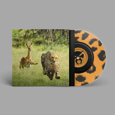 Thundercat & Tame Impala - No More Lies Vinyl 7"
