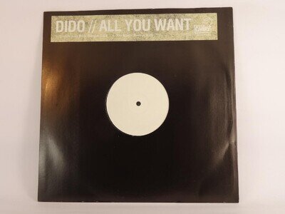 DIDO ALL YOU WANT (B) 2 Track 12" Single CHEEKY RECORDS