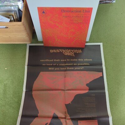 Destruction Unit Negative Feedback Resistor 2015 US Vinyl Sacred Bones Record