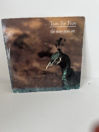 TEARS FOR FEARS * THE WAY YOU ARE * RARE PROMO SINGLE MERCURY IDADJ 6 PLAYS FINE