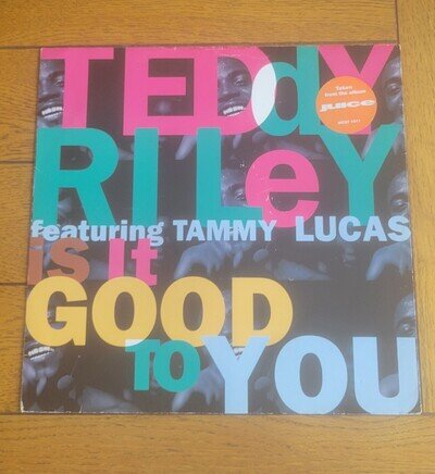Teddy Riley Featuring Tammy Lucas 12” Vinyl Single MCST1611 VG+/VG+ Movie Juice