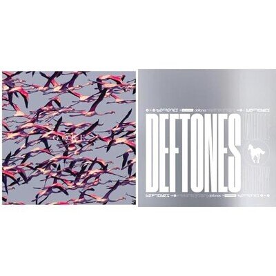 Deftones - White Pony (20th Anniversary Deluxe Edition) [VINYL]