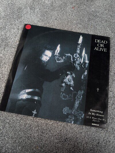 Dead or Alive Something in My House (US WipeOut Mix 2) 12" Vinyl BURNSQ1 EX/VG
