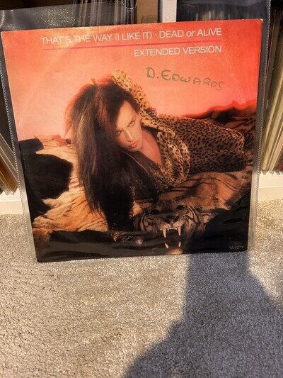 Dead Or Alive - That's The Way I Like It Extended Version - Used - 12" Vinyl
