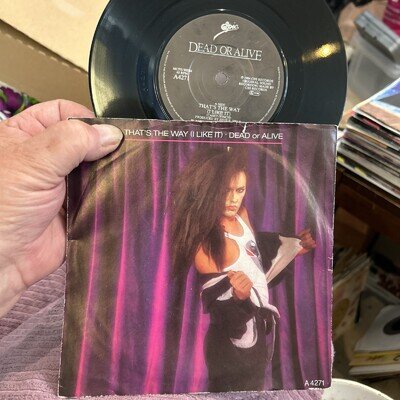 DEAD OR ALIVE - That’s The Way (I Like It) 7” Vinyl Record VG+