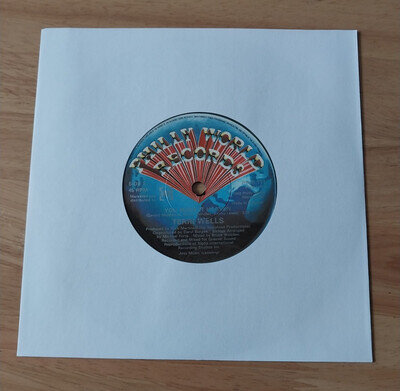 Terri Wells - You Make It Heaven (7" Record - 1983)