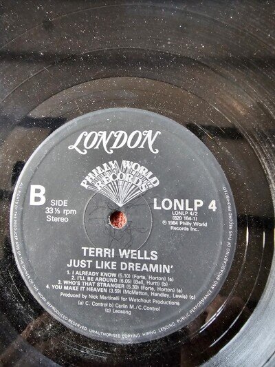 Terri Wells Just Like Dreamin' LP Album VGC Vinyl Record u/s