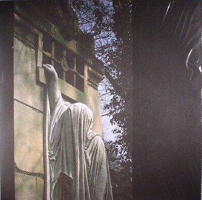 DEAD CAN DANCE - Within The Realm Of A Dying Sun (remastered) - Vinyl (LP)