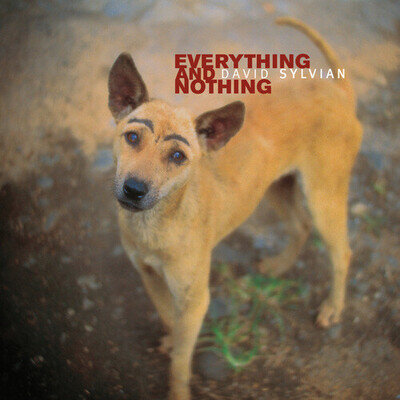 David Sylvian : Everything and Nothing VINYL 12" Album Box Set 3 discs (2024)
