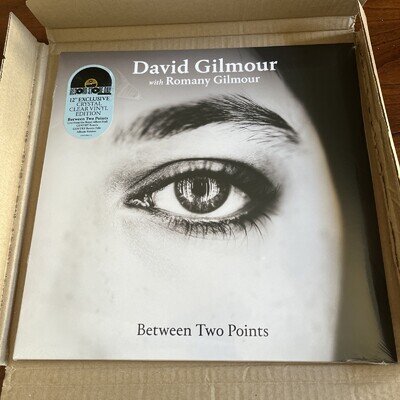 David Gilmour (Pink Floyd) - Between Two Points - Scarce RSD Vinyl 12" SEALED