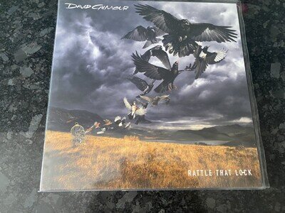 David Gilmour - Rattle That Lock. Vinyl LP. Ex/Ex Played once