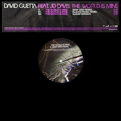 David Guetta – The World Is Mine - 12" Vinyl PROMO 2005 DINSTDJ271 - ADUO - VG+