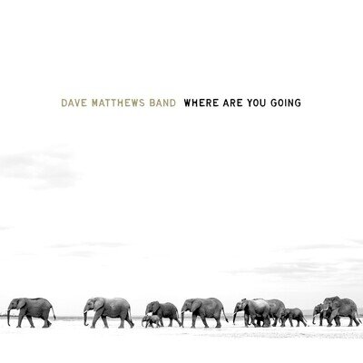 Dave Matthews Band WHERE ARE YOU GOING: THE SINGLES (2LP) (Vinyl) (US IMPORT)
