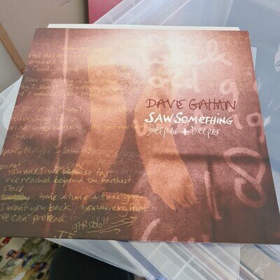 Dave Gahan - Saw Something Stickered Promo Vinyl Ltd 12" Single in P/S