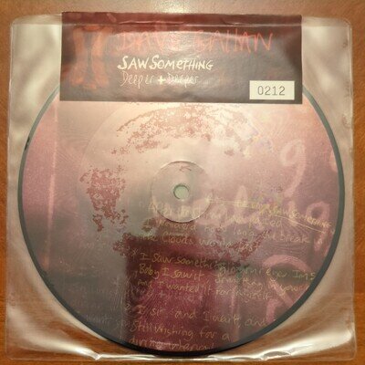 Dave Gahan - Saw Something / Deeper + Deeper, Ltd 7" Picture Disc - Brand New