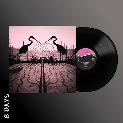 The Afghan Whigs - Soft Control - Black Vinyl - Presale Ships By 21/8/26