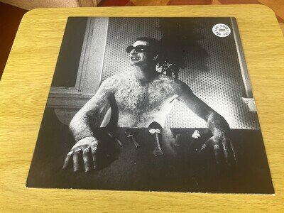 Afghan Whigs, The - Uptown Avondale Vinyl Record 12" Germany 1992 , free post