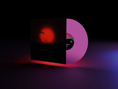 The Afghan Whigs How Do You Burn? (Vinyl)