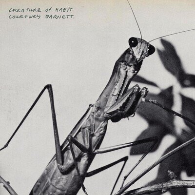 Courtney Barnett - Creature of Habit [VINYL]