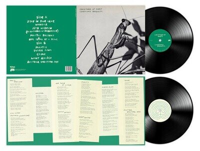 Courtney Barnett : Creature of Habit VINYL 12" Album (2026) ***NEW***