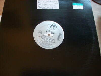 Nubian Crackers – Do You Wanna Hear It? (Big Beat 12"/1993) artifacts